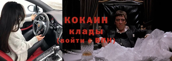 ПСИЛОЦИБИНОВЫЕ ГРИБЫ Коряжма
