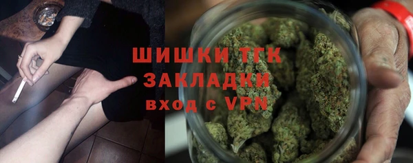 индика Корсаков