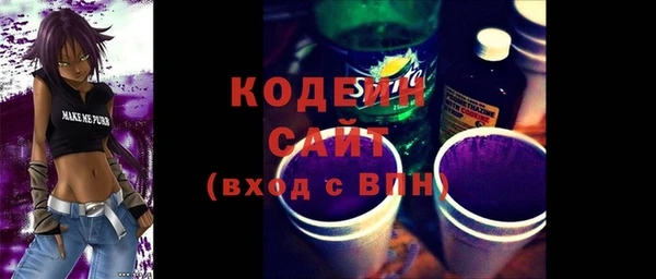 индика Корсаков
