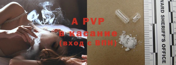 индика Корсаков