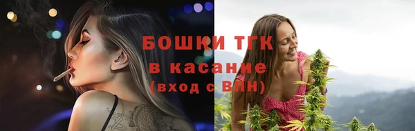 индика Корсаков