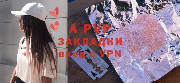 индика Корсаков