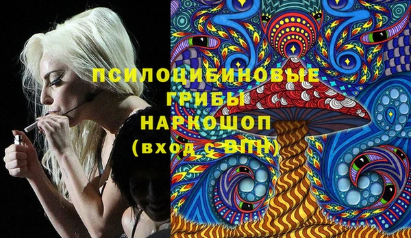 индика Корсаков