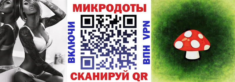 купить   Чадан  Галлюциногенные грибы мицелий 